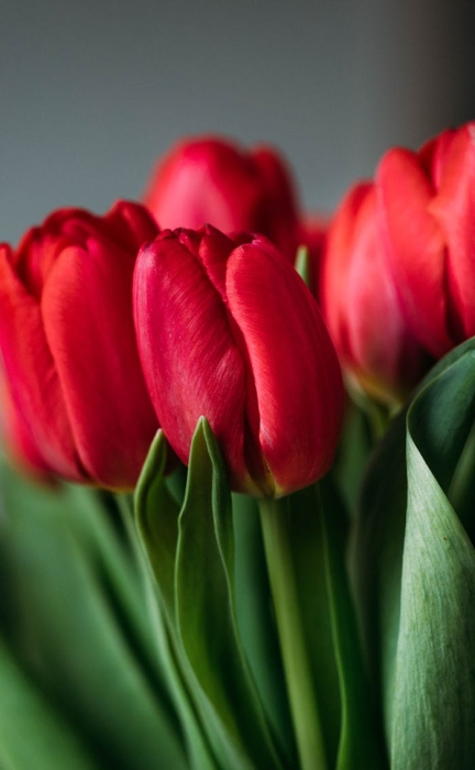 seo����Ҫע��ʲô��